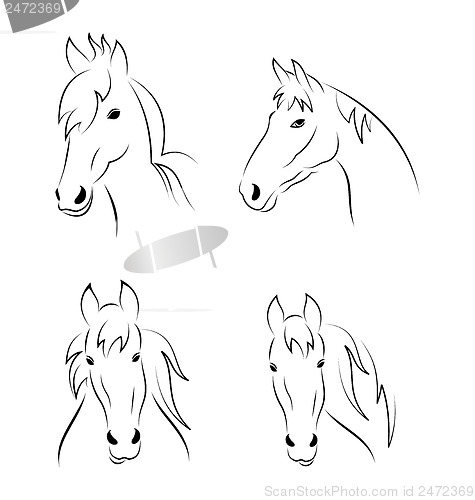 Image of Set symbols outline head horse isolated on white background