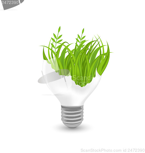 Image of Lamp with grass inside isolated on white background