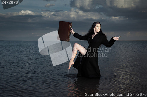 Image of Sea traveler