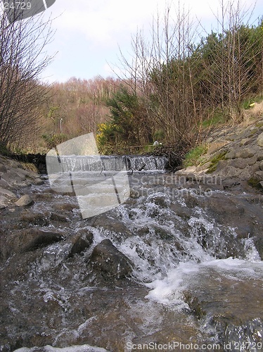 Image of Babbling Brook