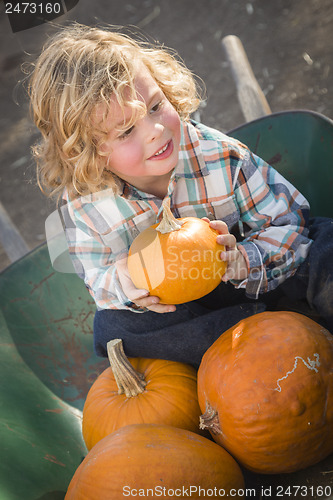 Image of Little Boy Sitting and Holding His Pumpkin at Pumpkin Patch
