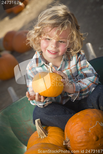 Image of Little Boy Sitting and Holding His Pumpkin at Pumpkin Patch
