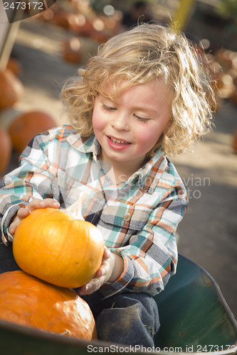 Image of Little Boy Sitting and Holding His Pumpkin at Pumpkin Patch
