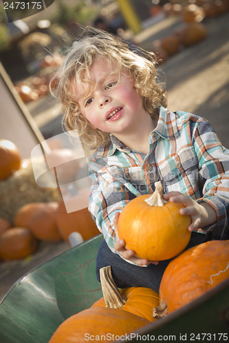 Image of Little Boy Sitting and Holding His Pumpkin at Pumpkin Patch
