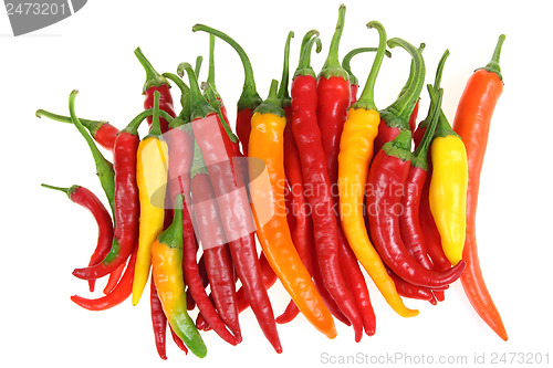 Image of Peppers