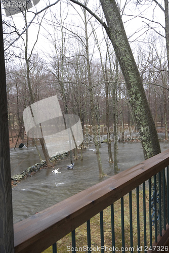 Image of view of flood in backyard