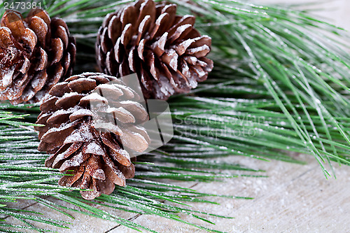 Image of christmas fir tree with pinecones