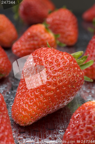 Image of strawberry