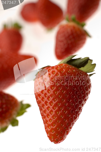 Image of strawberry