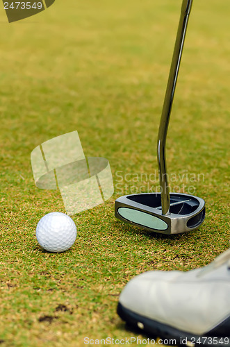Image of golfer putting a golf ball in to hole