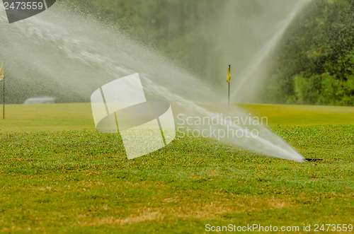 Image of watering green grass lawn on golf course