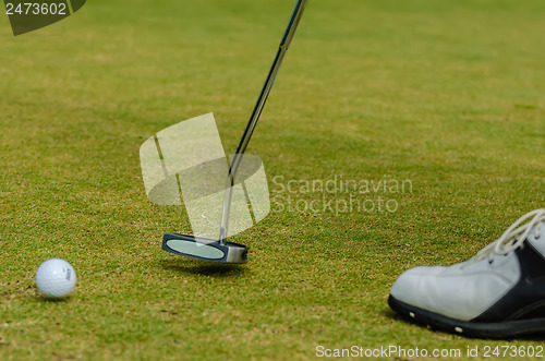 Image of golfer putting a golf ball in to hole