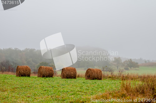 Image of mountain farm land in virginia mountains