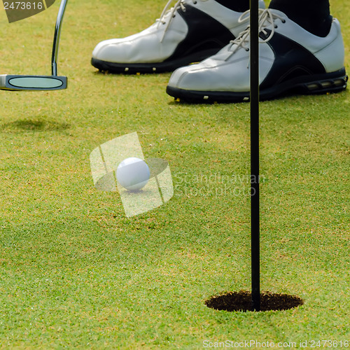 Image of golfer putting a golf ball in to hole