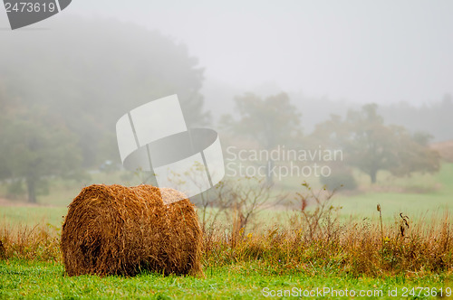 Image of mountain farm land in virginia mountains