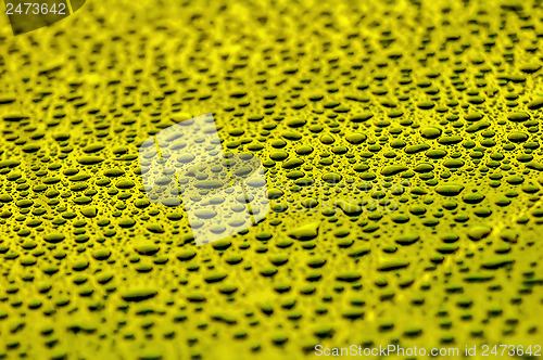 Image of yellow water drops on water-repellent surface