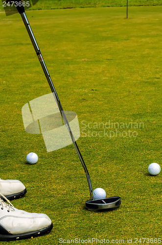 Image of golfer putting a golf ball in to hole