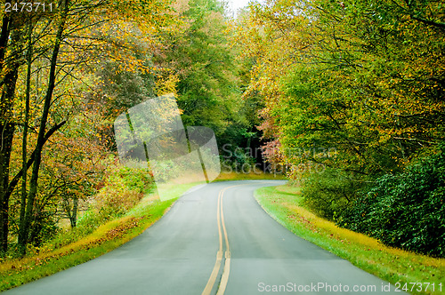 Image of Blue Ridge Parkway in the Fall after a Rain