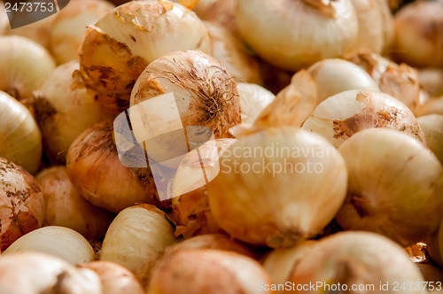 Image of onions on farm stand display
