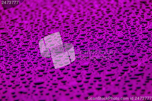 Image of purple water drops on water-repellent surface