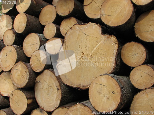 Image of Logs