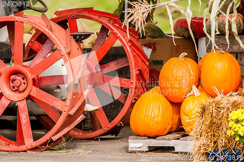 Image of pumpkins next to an old farm tractor