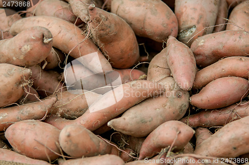 Image of sweet potatoes on a farm display