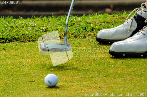 Image of golfer putting a golf ball in to hole