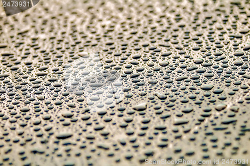 Image of drops on water-repellent surface