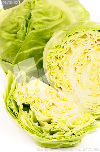 Image of Cabbage