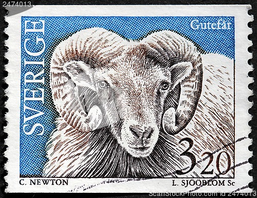 Image of Gotland Sheep Stamp