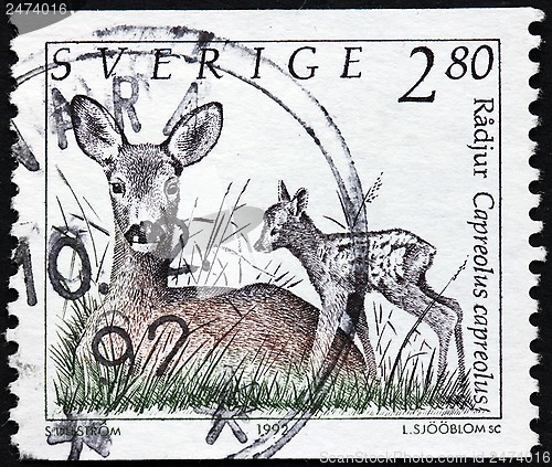 Image of Roe and Fawn Stamp