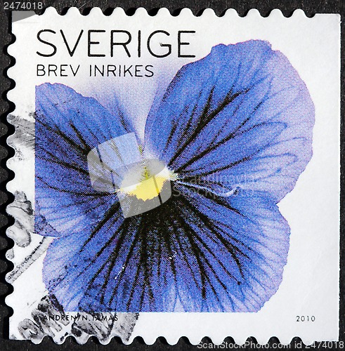 Image of Pansy Stamp