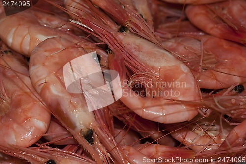 Image of prawns