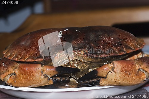 Image of crab on a platter