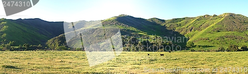 Image of Meadow Valley