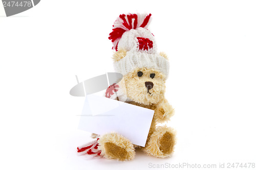 Image of Teddybear with blank business card