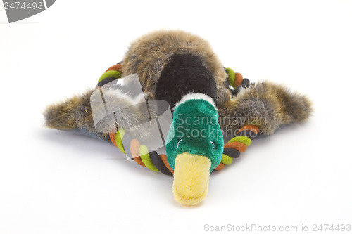 Image of Dog Toy