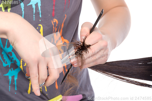 Image of Young woman having a hair cut