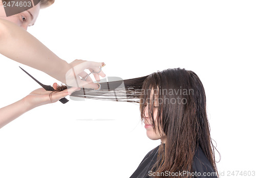 Image of Young woman having a hair cut