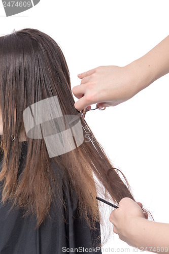 Image of Young woman having a hair cut