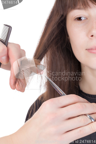 Image of Young woman having a hair cut