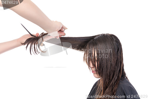 Image of Young woman having a hair cut