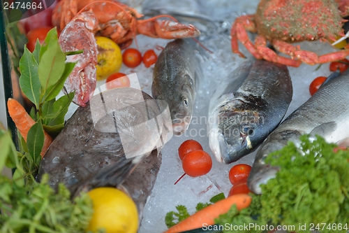 Image of Seafood on ice