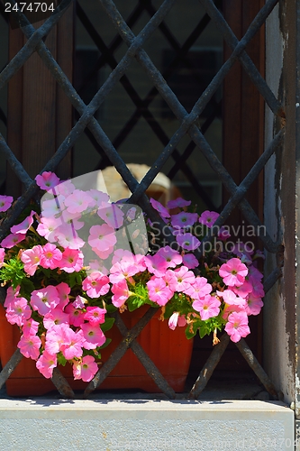 Image of venice italy