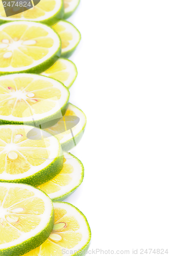 Image of Citrus Frame