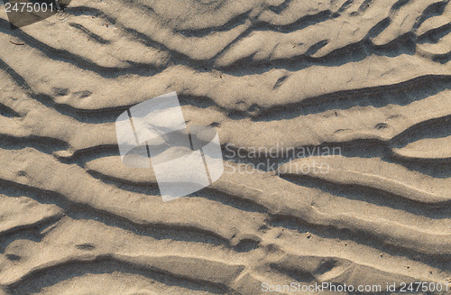 Image of sand dune