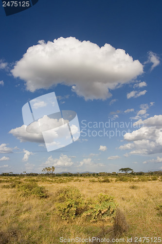 Image of Samburu Landscape