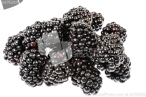 Image of Blackberries close-up