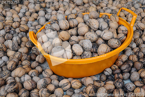 Image of Wallnuts and Orange Plastic Basin